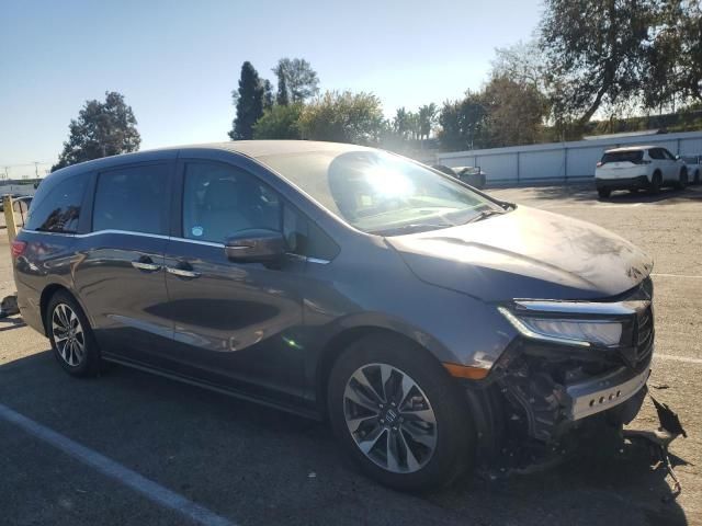 2024 Honda Odyssey EXL