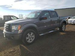 Salvage trucks for sale at Rocky View County, AB auction: 2009 Ford F150 Supercrew