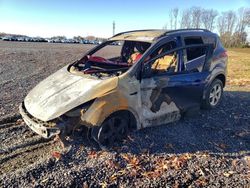 Salvage vehicles for parts for sale at auction: 2014 Ford Escape SE