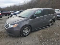 Vehiculos salvage en venta de Copart Marlboro, NY: 2011 Honda Odyssey EX