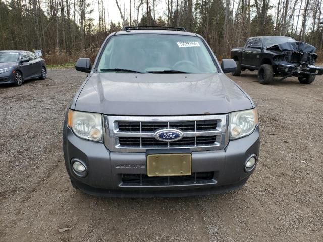 2010 Ford Escape XLT