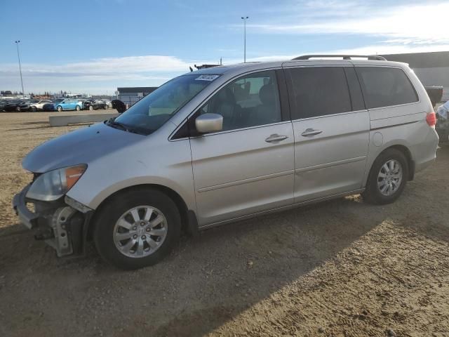 2008 Honda Odyssey EXL