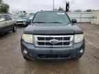 2008 Ford Escape XLT