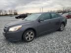 2013 Chevrolet Malibu 1LT