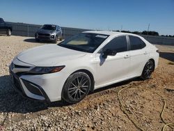 Salvage cars for sale at Temple, TX auction: 2024 Toyota Camry SE Night Shade