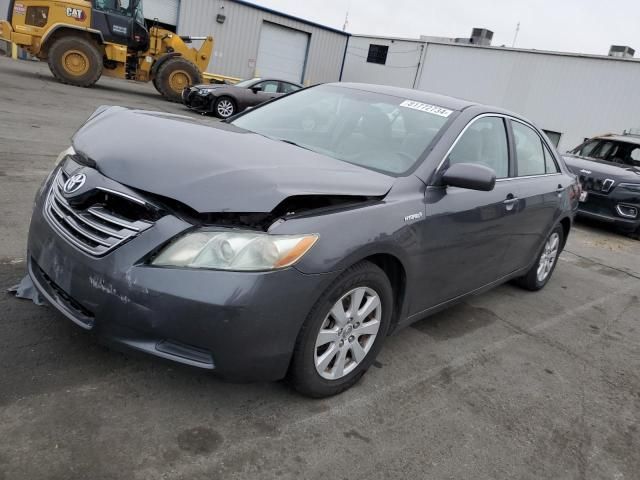 2009 Toyota Camry Hybrid