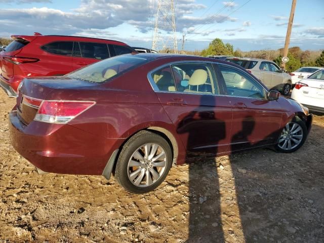 2011 Honda Accord EXL