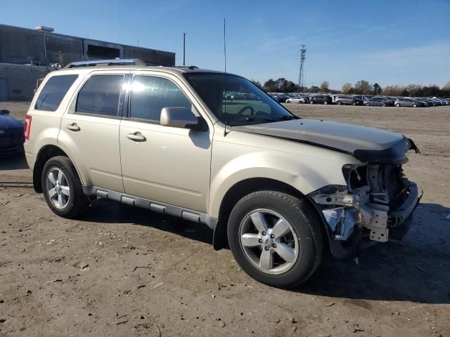 2011 Ford Escape Limited