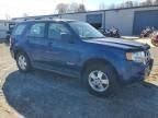 2008 Ford Escape XLS