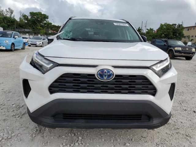 2023 Toyota Rav4 LE