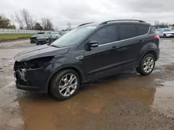 Carros con título limpio a la venta en subasta: 2013 Ford Escape SEL