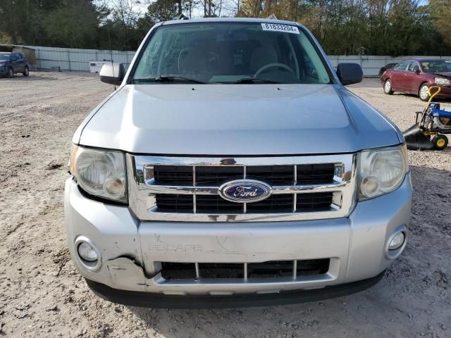 2011 Ford Escape XLT