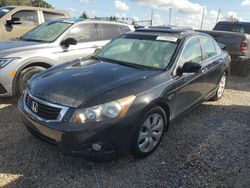 Salvage cars for sale from Copart Apopka, FL: 2010 Honda Accord EX