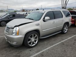 Cadillac salvage cars for sale: 2008 Cadillac Escalade Luxury