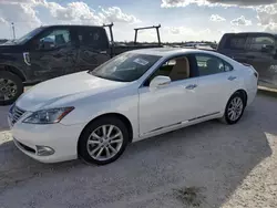 Salvage cars for sale at Arcadia, FL auction: 2011 Lexus ES 350