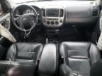 2003 Ford Escape Limited