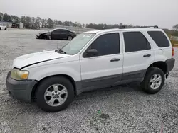 Salvage cars for sale from Copart Fairburn, GA: 2007 Ford Escape XLT