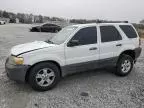 2007 Ford Escape XLT