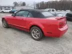 2005 Ford Mustang