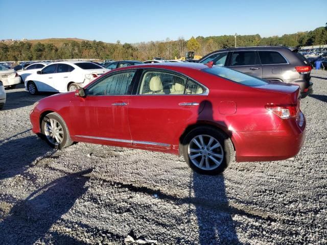 2010 Lexus ES 350