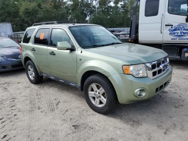 2008 Ford Escape HEV