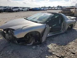 Salvage cars for sale at New Orleans, LA auction: 1999 Pontiac Firebird Formula