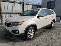 KIA Sorento salvage cars for sale: 2011 KIA Sorento Base