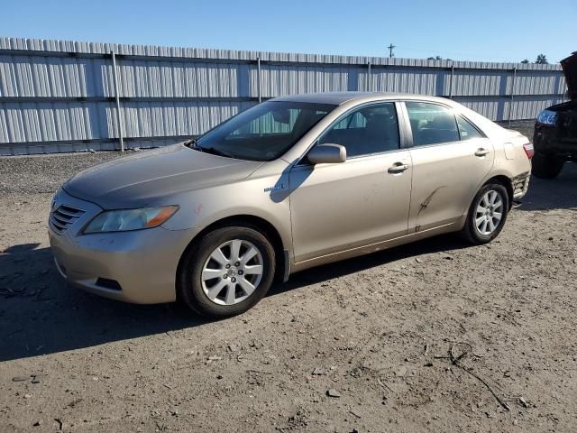 2008 Toyota Camry Hybrid