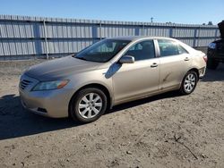 Toyota Vehiculos salvage en venta: 2008 Toyota Camry Hybrid