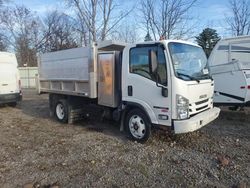 Salvage trucks for sale at Central Square, NY auction: 2019 Isuzu NRR