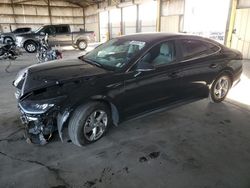 Salvage cars for sale at Phoenix, AZ auction: 2023 Hyundai Sonata SE