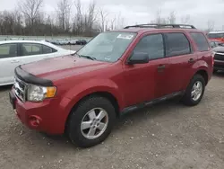 Run And Drives Cars for sale at auction: 2011 Ford Escape XLT