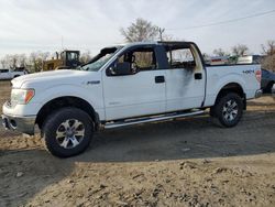 Ford f-150 salvage cars for sale: 2012 Ford F150 Supercrew