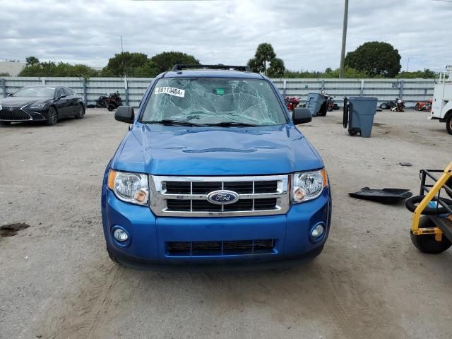 2011 Ford Escape XLT