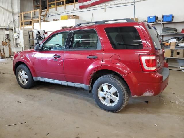 2009 Ford Escape XLT