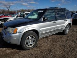 2003 Ford Escape XLT en venta en Des Moines, IA