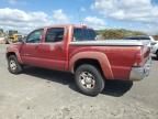 2005 Toyota Tacoma Double Cab Prerunner