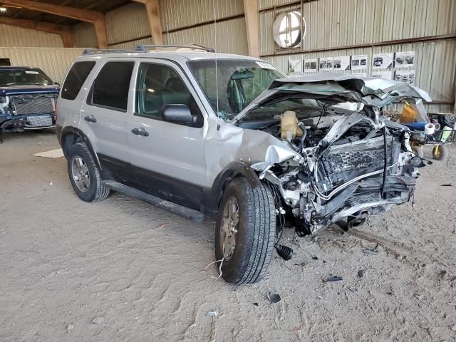 2004 Ford Escape XLT