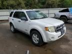 2008 Ford Escape XLT