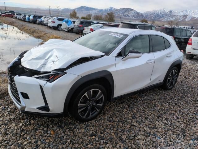 2019 Lexus UX 250H