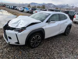 Carros salvage sin ofertas aún a la venta en subasta: 2019 Lexus UX 250H