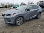 2018 Lexus NX 300 Base