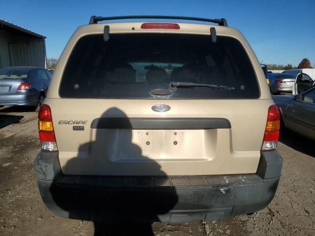 2007 Ford Escape XLT