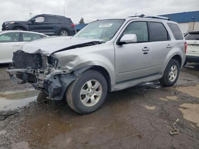 2010 Ford Escape Limited