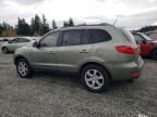 2009 Hyundai Santa FE SE