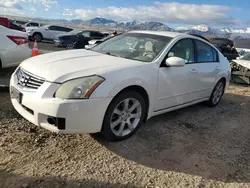 Nissan salvage cars for sale: 2008 Nissan Maxima SE