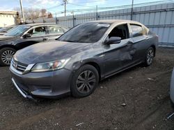 Honda Accord lx Vehiculos salvage en venta: 2014 Honda Accord LX