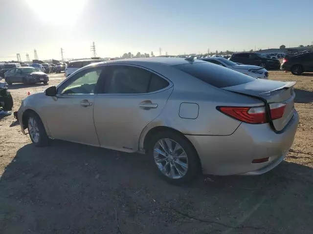 2013 Lexus ES 300H