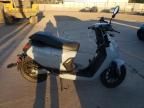 2022 NIU Scooter