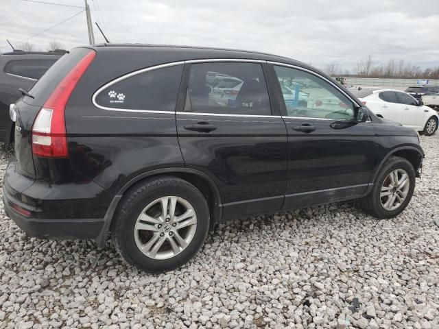 2010 Honda CR-V EX